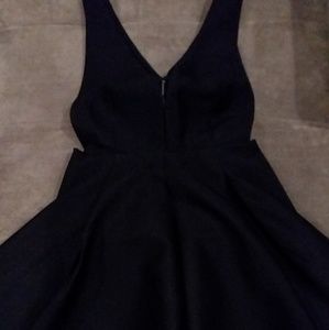 Tobi Skater Dress